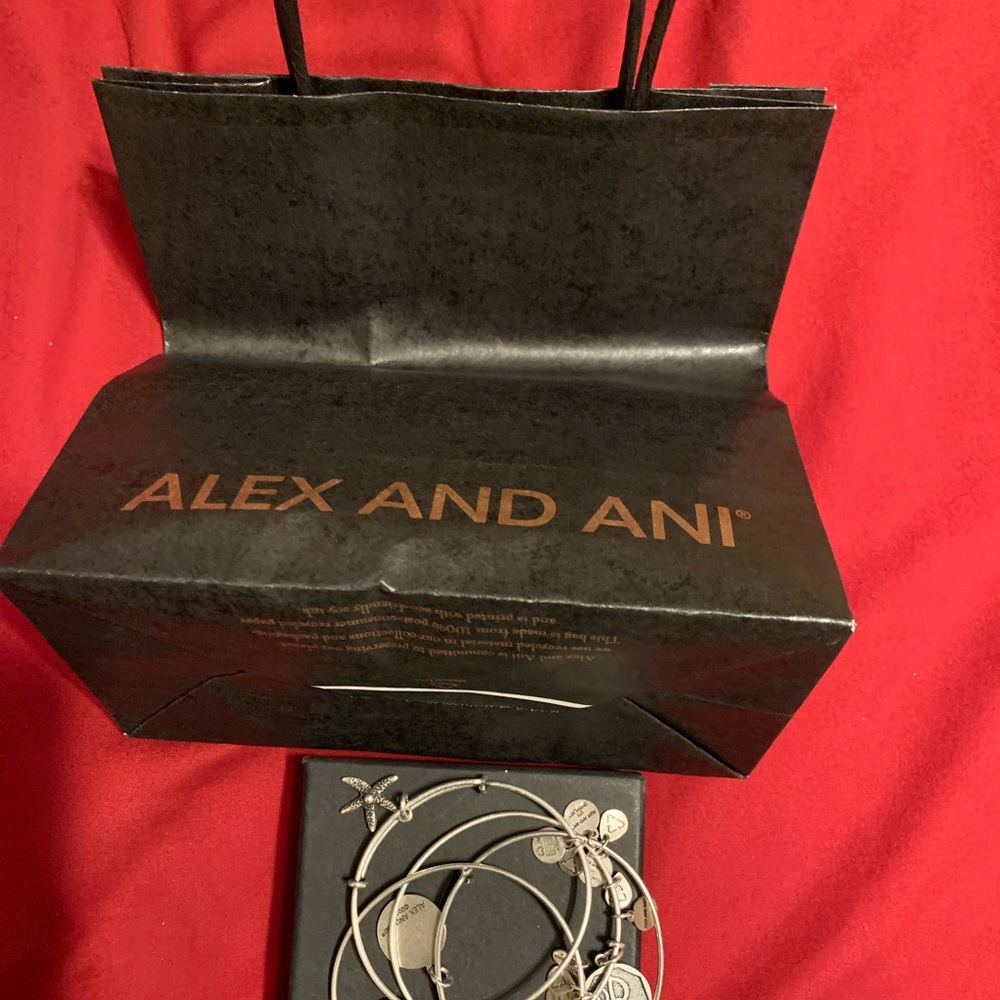 🚫SOLD🚫Alex and Ani Silver Bracelets - Picture 8 of 12